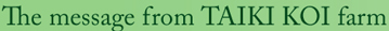 The message from TAIKI KOI farm
