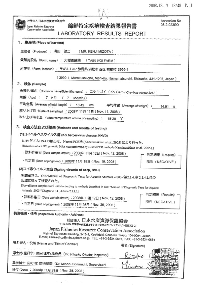 KHV report