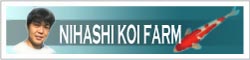 NIHASHI KOI FARM