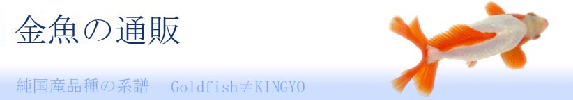 $B;0<<M\5{>l(B