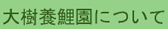 $BBg<yM\8q1`$K$D$$$F(B