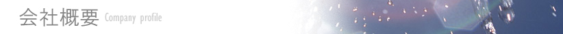 $B2q<R35MW(B/Company profile